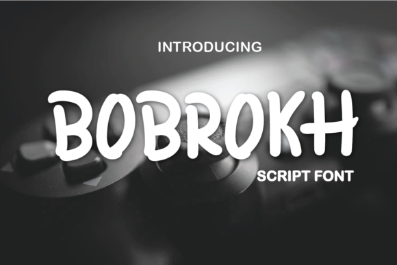 Bobrokh: A Bouncy Display Font That Lifts Your Web Design