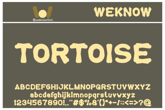 Tortoise: A Bold Display Font for Digital Brand Identity